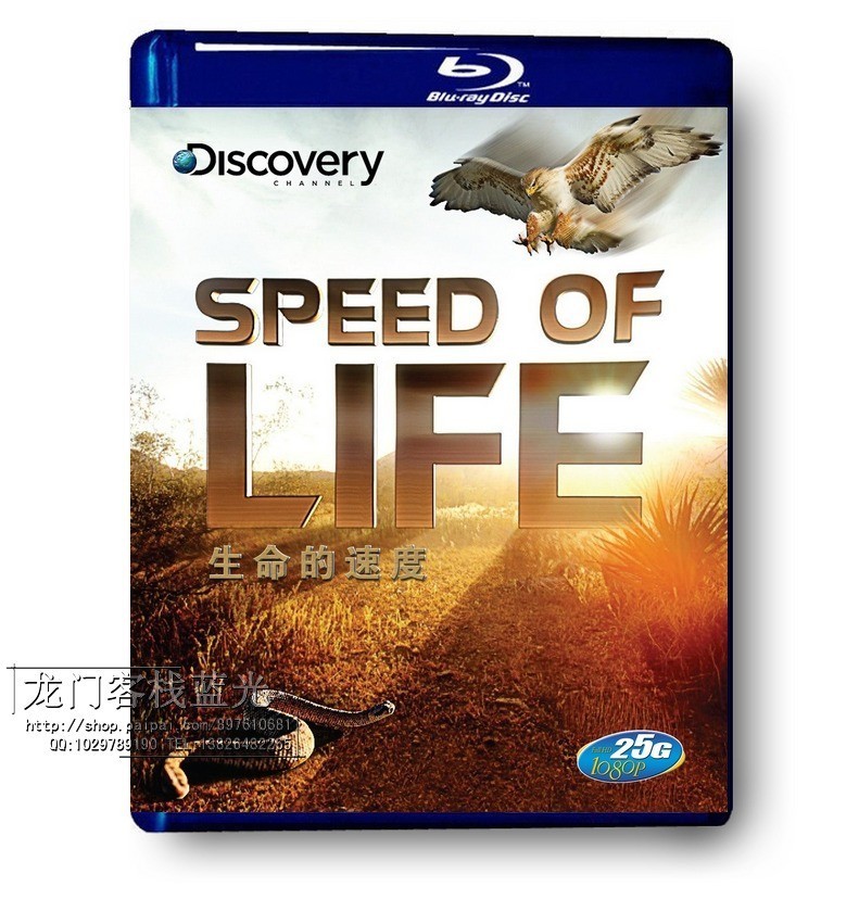  探索频道：生命的速度 本片中观众将通过高速摄像机了解惊人的动物和昆虫世界 90-002 