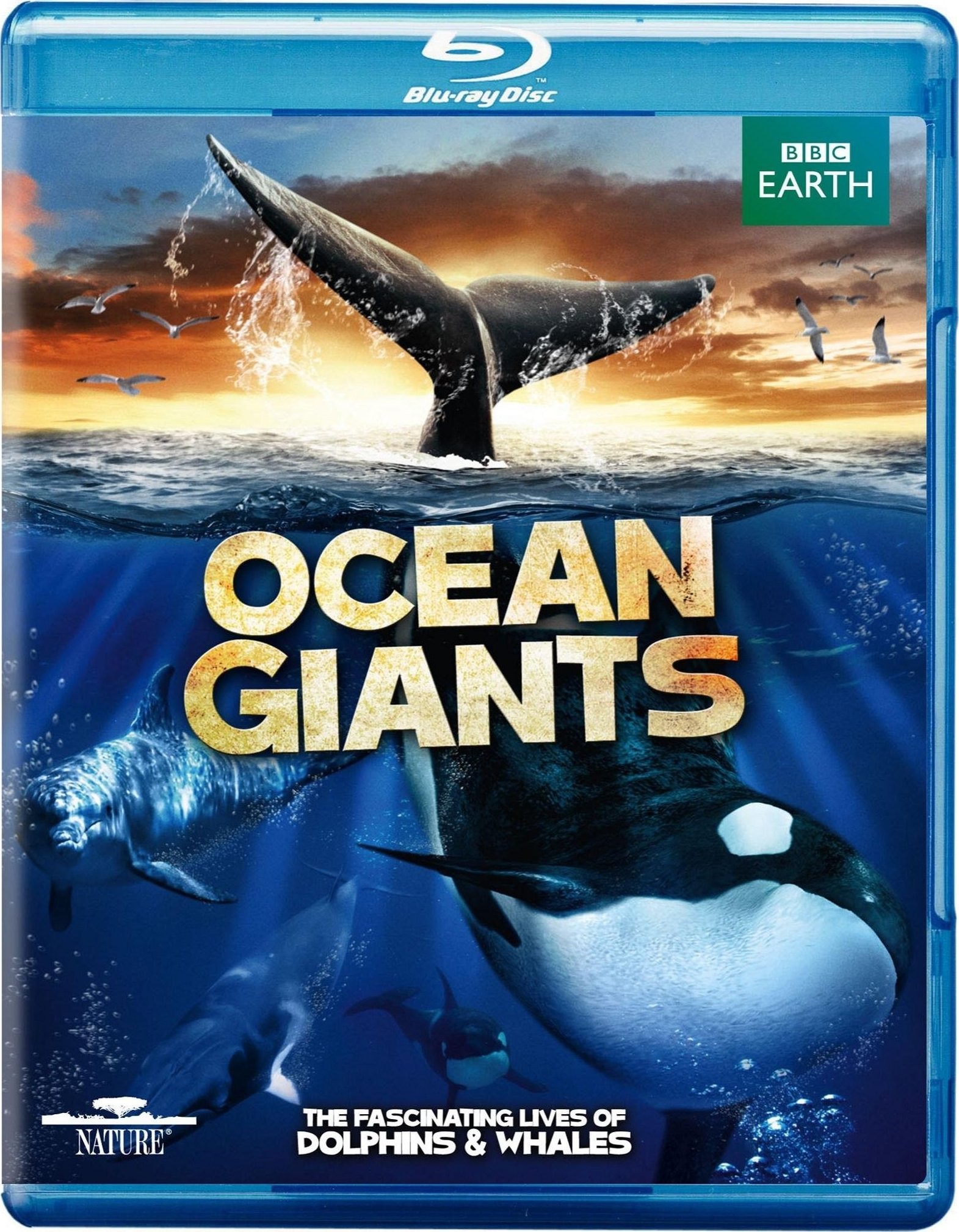 海洋巨物/海洋巨人 2012最新BBC记录片 10-093