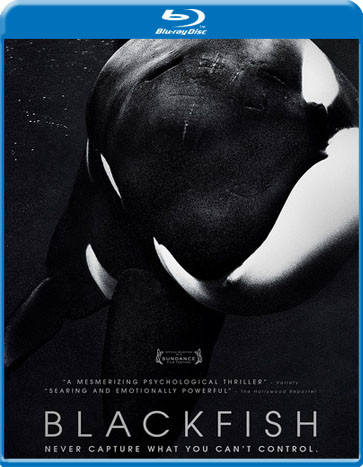  黑鲸/黑鲸鱼/黑鱼 Blackfish(2013) 10-122 