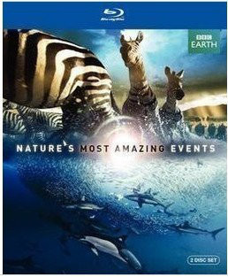  《BBC大自然大事件》 2碟 4-040|1-043 