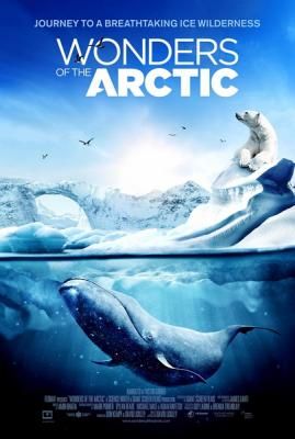  奇幻冰极/IMAX：奇幻冰極 Wonders of the Arctic (2014) 151-037 