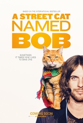  流浪猫鲍勃 带静音 豆瓣评分高达8.2分A Street Cat Named Bob (2016) 110-084 