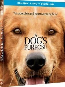  BD50-2D 【一条狗的使命】A Dog’s Purpose （2017） 带国配 喜剧大片  204-030 