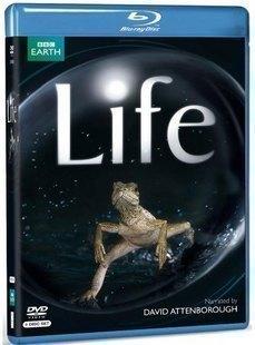 BBC 生命 Life 4碟装 豆瓣评分高达9.7分 2009