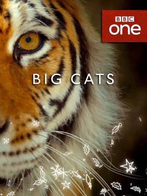 大猫/大虫 BIG CATS (2018英国BBC年度记录巨制 豆瓣评分高达9.6