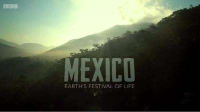 BBC 墨西哥地球生命的狂欢 2017