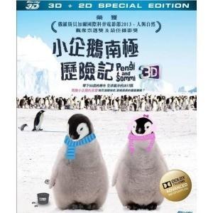 小企鹅南极因险记 2D+3D 2013南极可爱的小动物们融化你的心