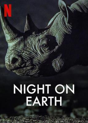 地球的夜晚 2020 2碟 豆瓣9.4 高清版