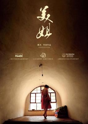 美姐 The Love Songs Of Tiedan (2012)豆瓣评分7.8分国产爱情佳作