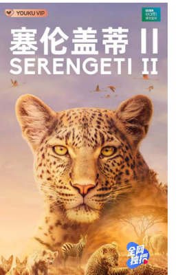 塞伦盖蒂 第二季 双碟 2021 新主角登场。新对弈展开。依然在这片非凡之境。重返位于非洲的塞伦盖蒂，在这未受破坏的一隅，见证真实的动物生存戏码