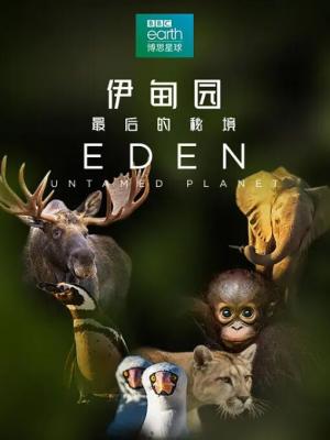 伊甸园：最后的秘境 双碟装 季冠霖担任中文解说的一部自然纪录片