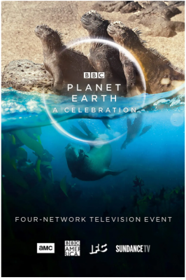 地球脉动：生命礼赞 2020 融合《地球脉动II》和《蓝色星球II》的精彩故事