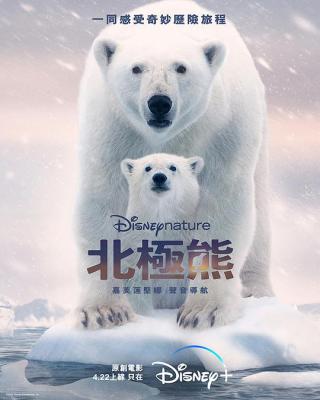 北极熊 2022年迪士尼上映纪录大作 豆瓣 8.5