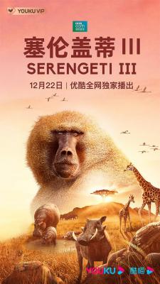 塞伦盖蒂 第三季 双碟 塞伦盖蒂的野生动物纪实大戏又将上演——宏大的场面，精彩的故事，更有全新角色悉数登场